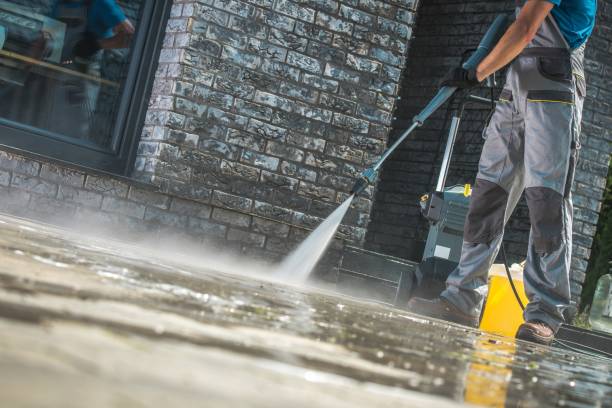 Best Graffiti Removal  in Terrytown, LA