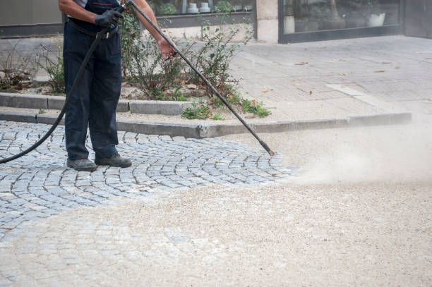 Best Boat and Dock Cleaning  in Terrytown, LA